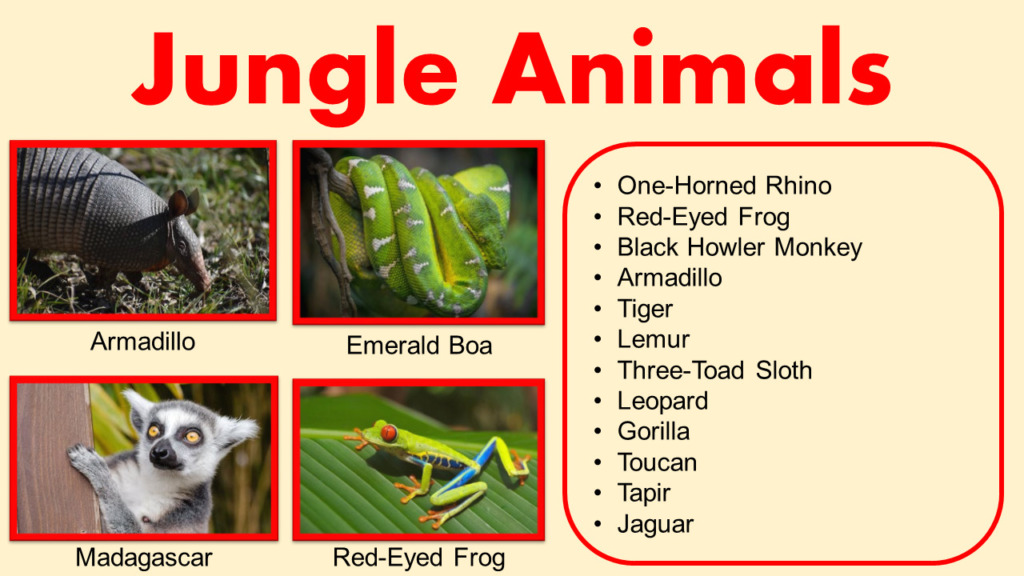 List Of Jungle Animals Names Pictures GrammarVocab
