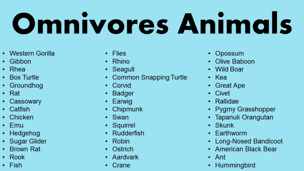 List of Omnivores Animals - GrammarVocab