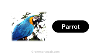 List of Smartest Animals Known for Their Intelligence - GrammarVocab