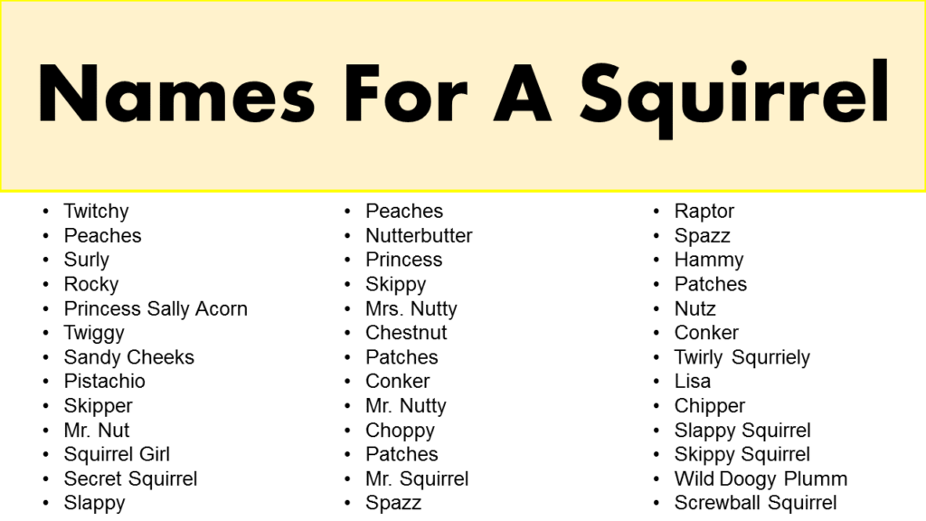 Funny Names For A Squirrel