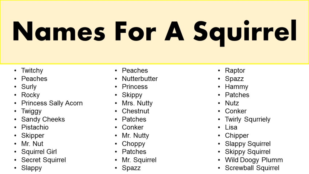 Funny Names For A Squirrel Squirrel Names GrammarVocab