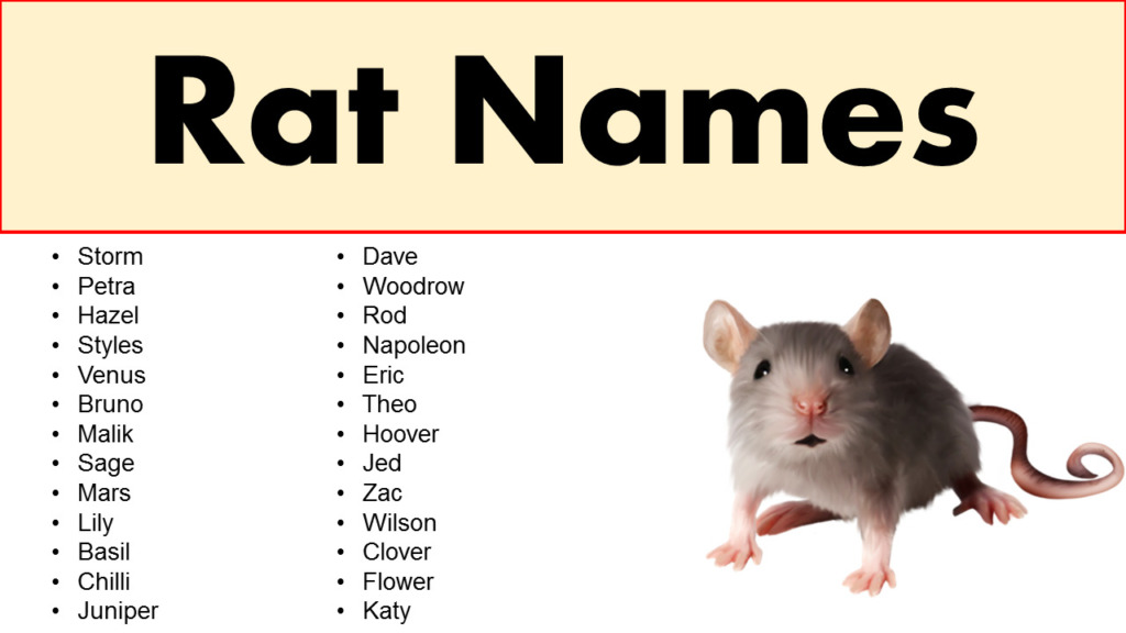 Good Rat Names