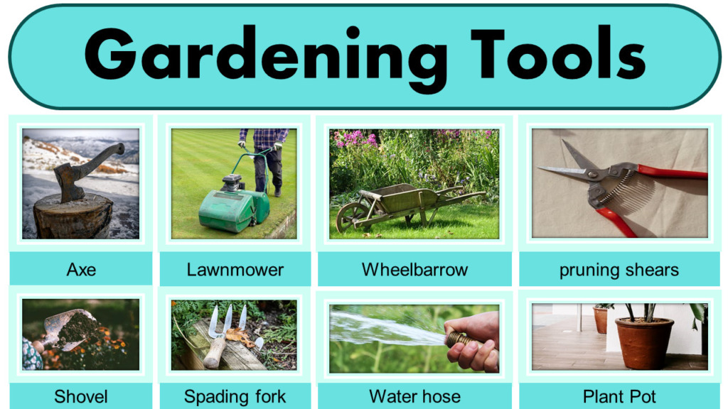 Gardening Vocabulary
