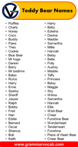 Good Teddy Bear Names: Cute, Famous & Traditional - GrammarVocab