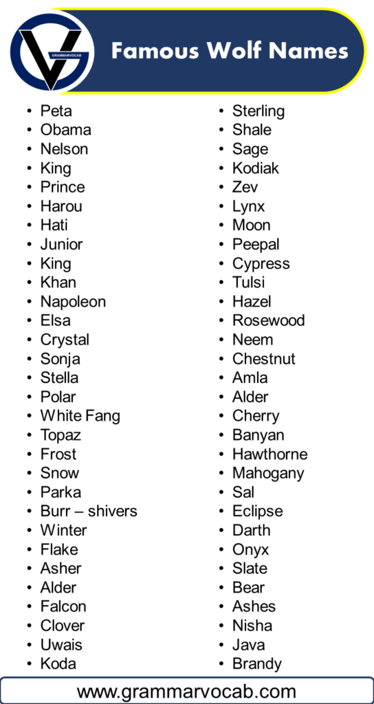 List Of Names For Wolf Naming Ideas GrammarVocab