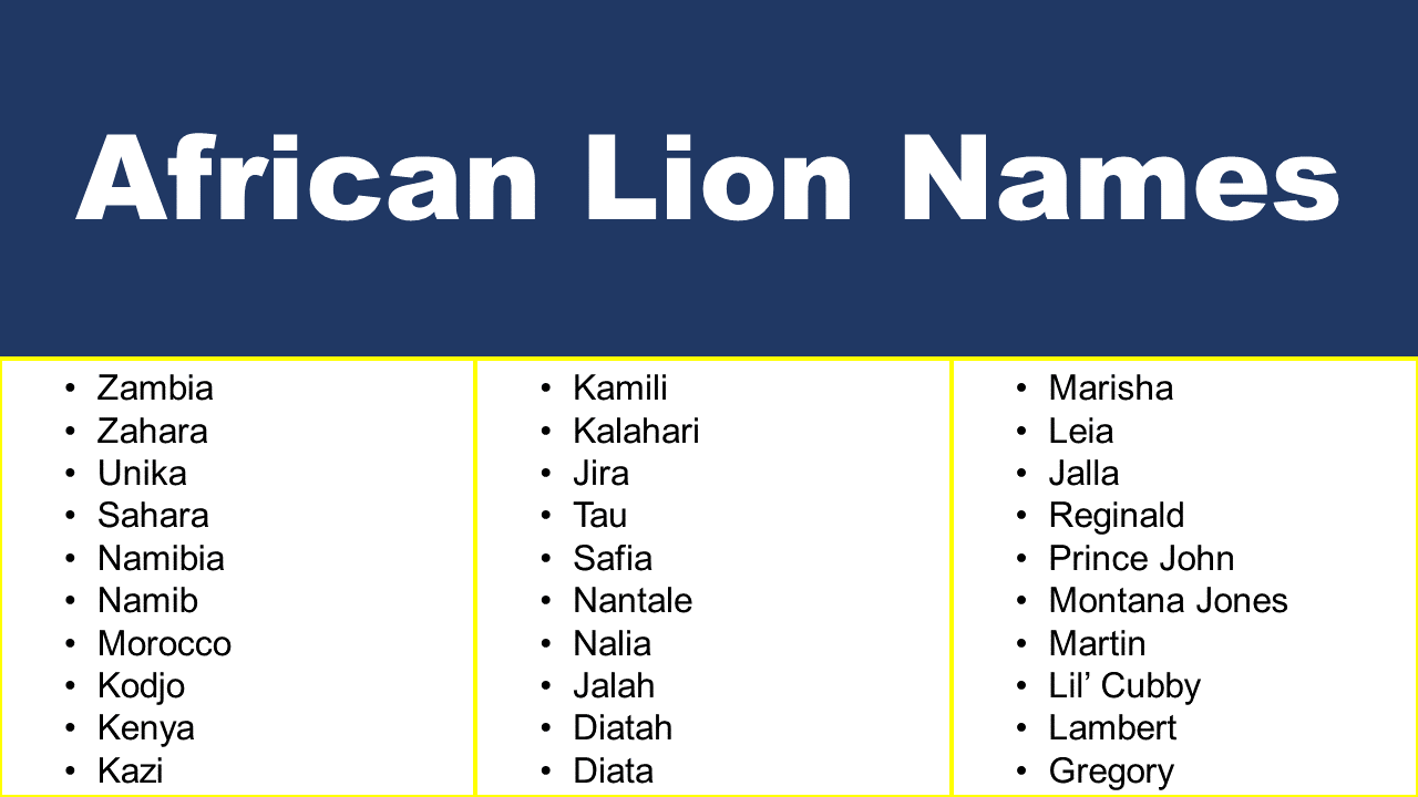 Good African Lion Names - GrammarVocab