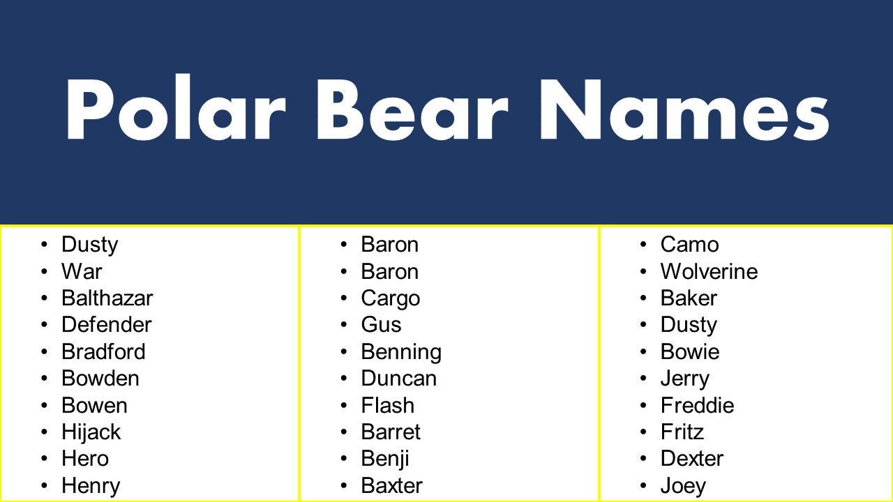 polar-bear-names-grammarvocab