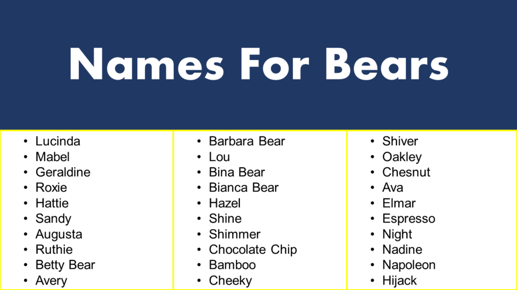 Names For Bears