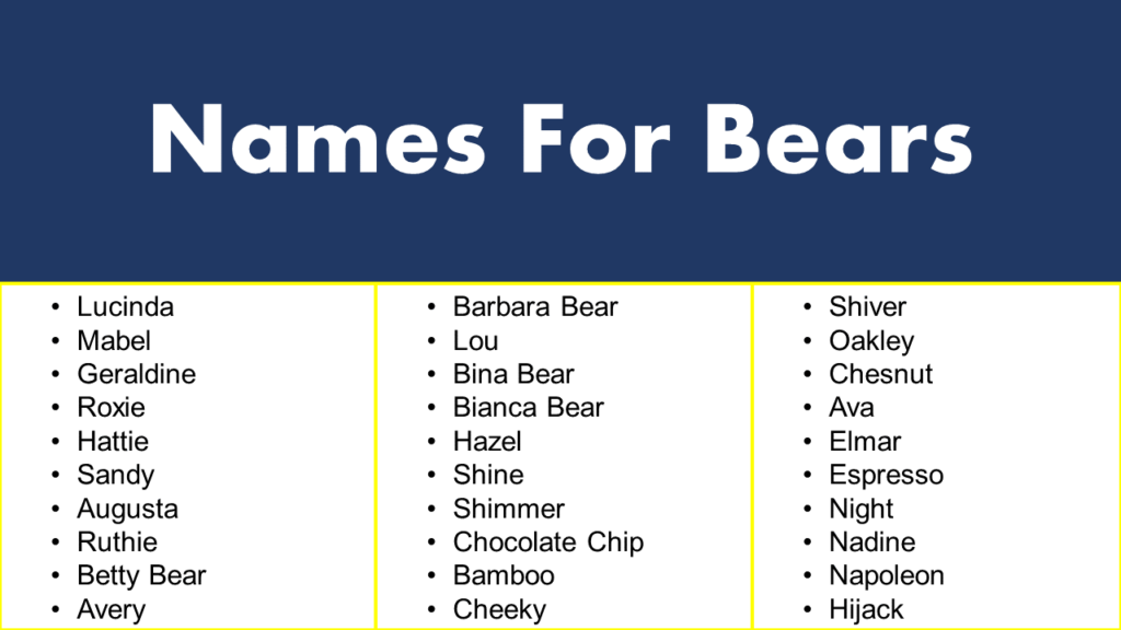 names-for-bears-grammarvocab