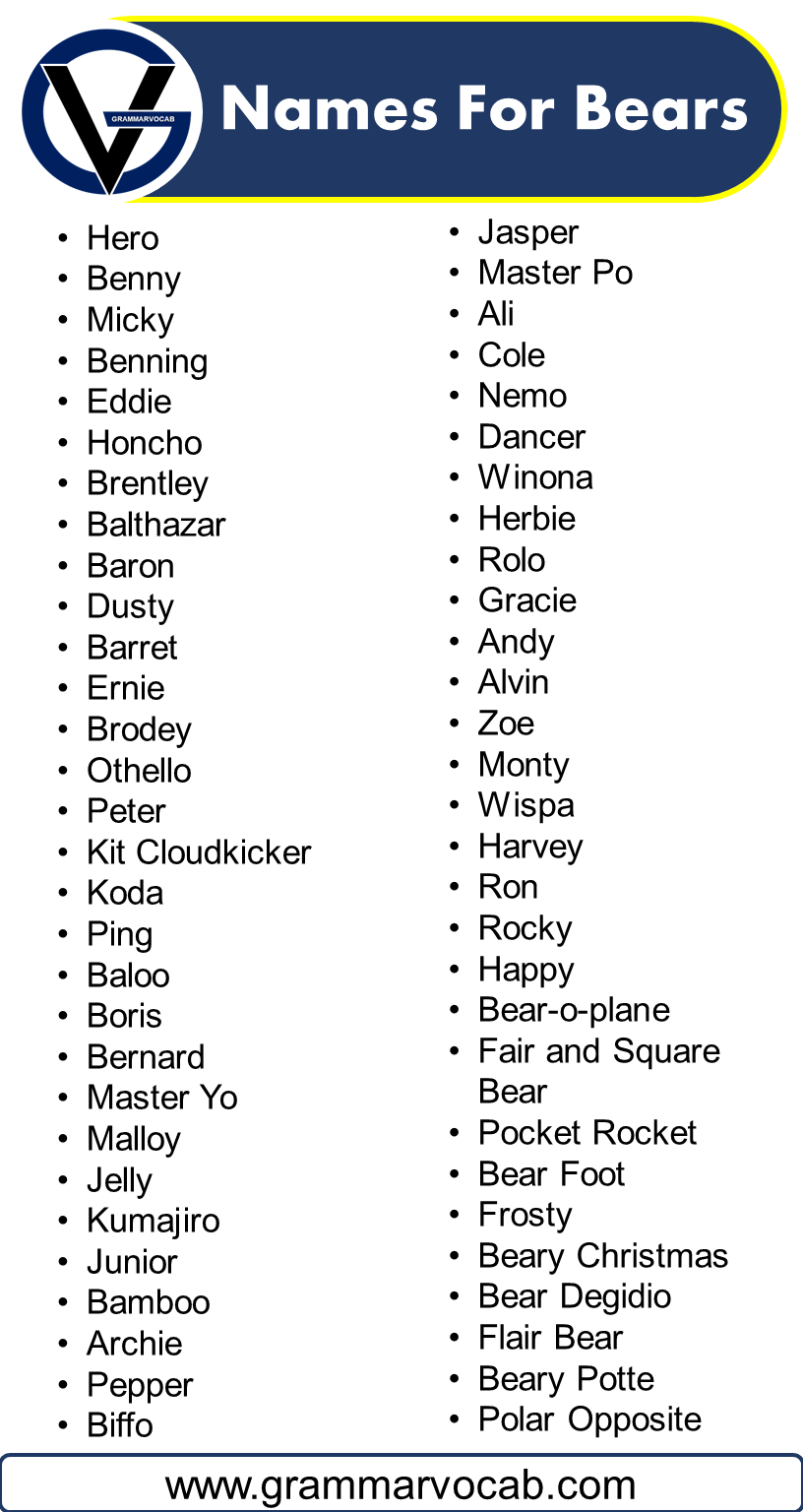Names For Bears GrammarVocab
