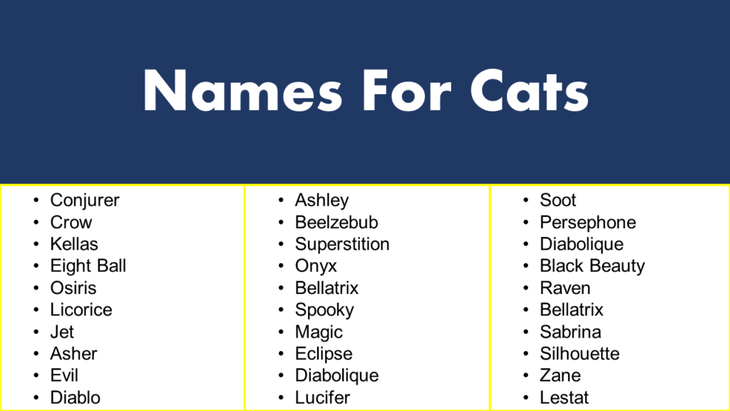 Names For Cats Black Cat Names GrammarVocab