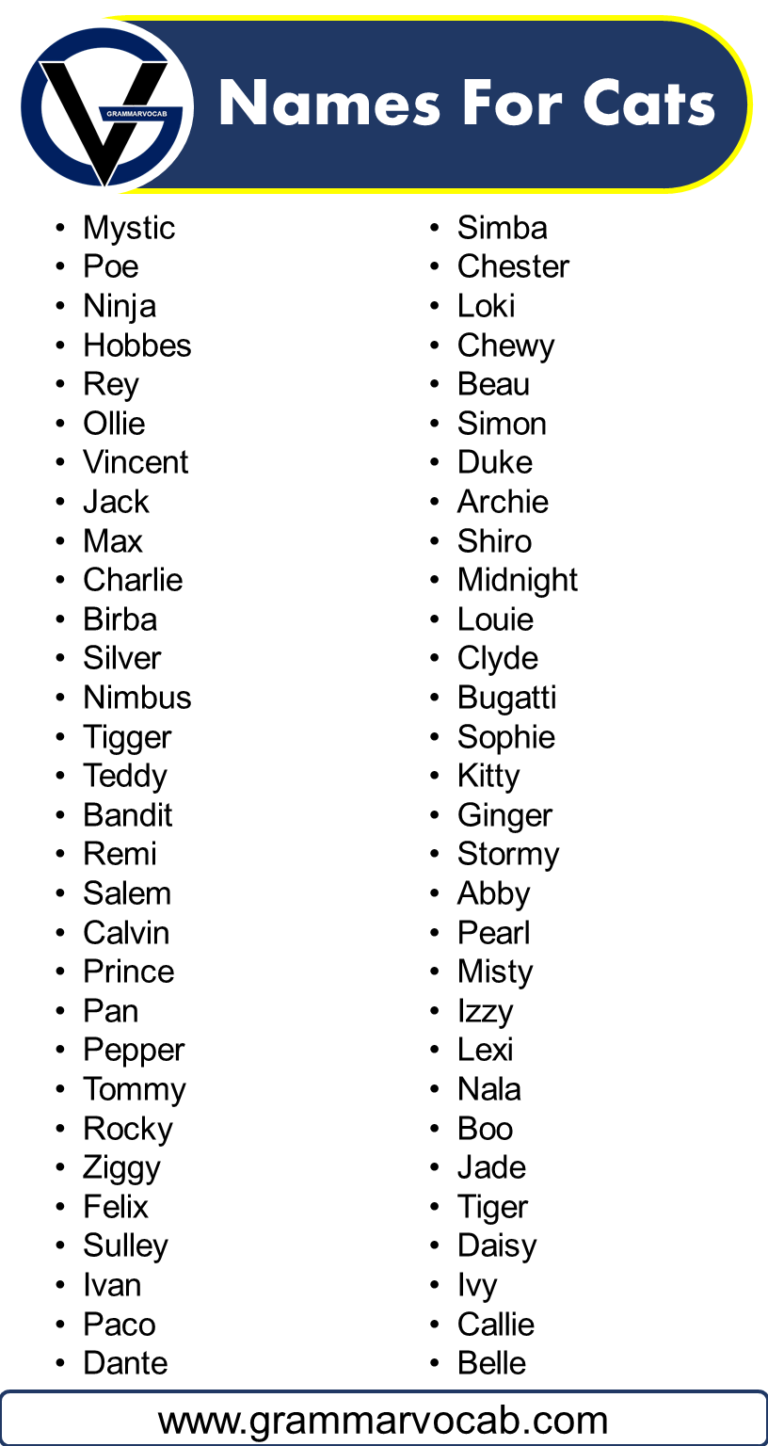 Names For Cats - Black Cat Names - GrammarVocab