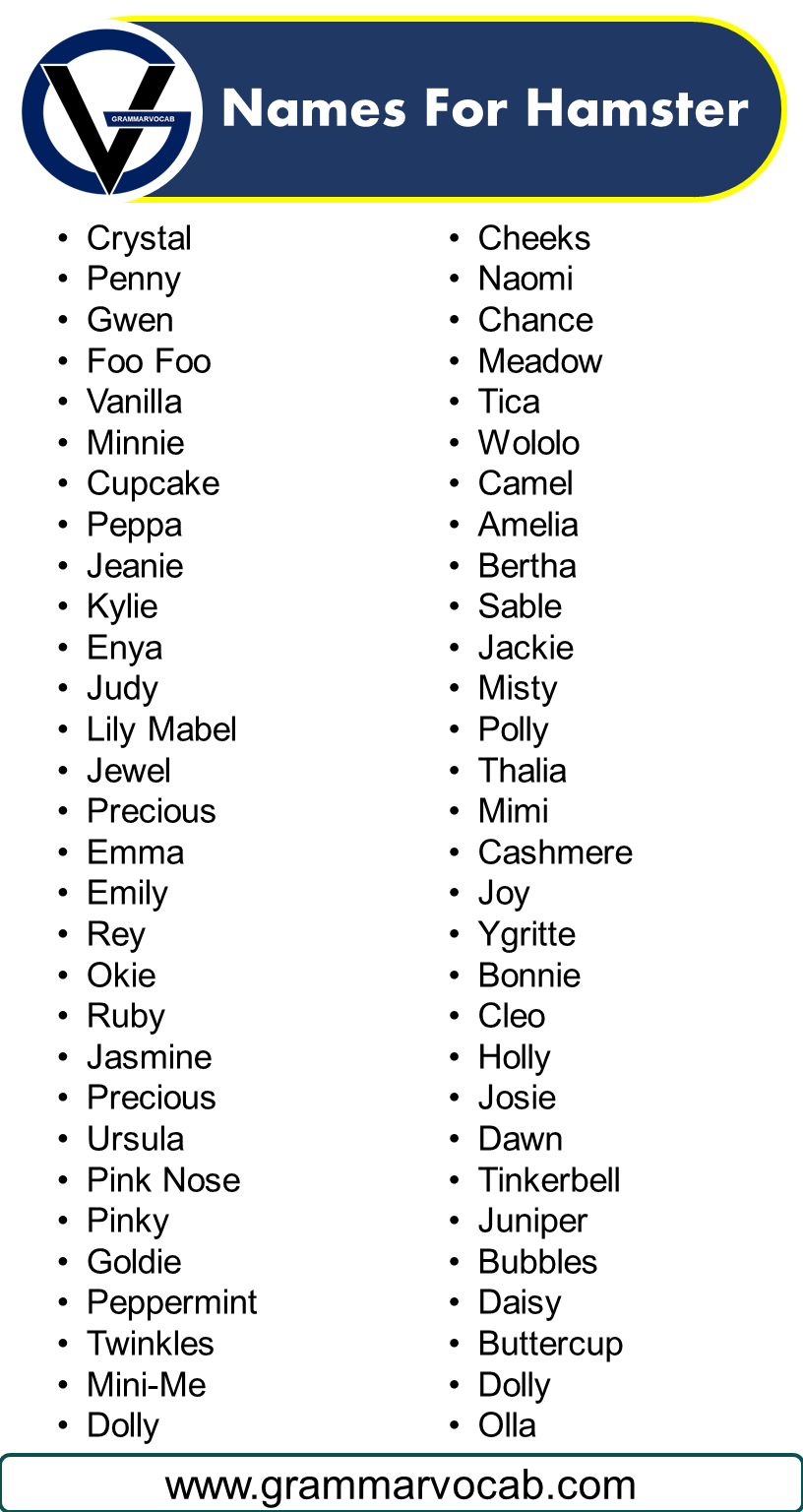 Names For Hamster GrammarVocab