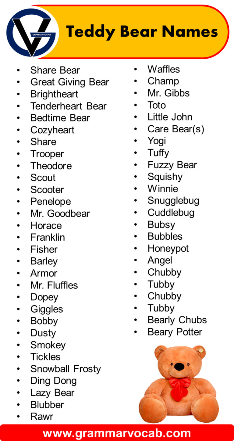 Good Teddy Bear Names Cute, Famous & Traditional GrammarVocab