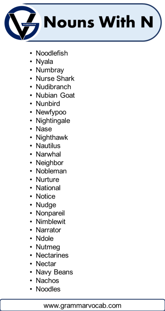 List of Nouns That Start With N GrammarVocab