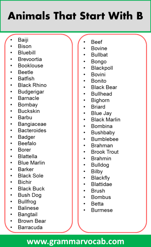 Nouns Starting With B - GrammarVocab