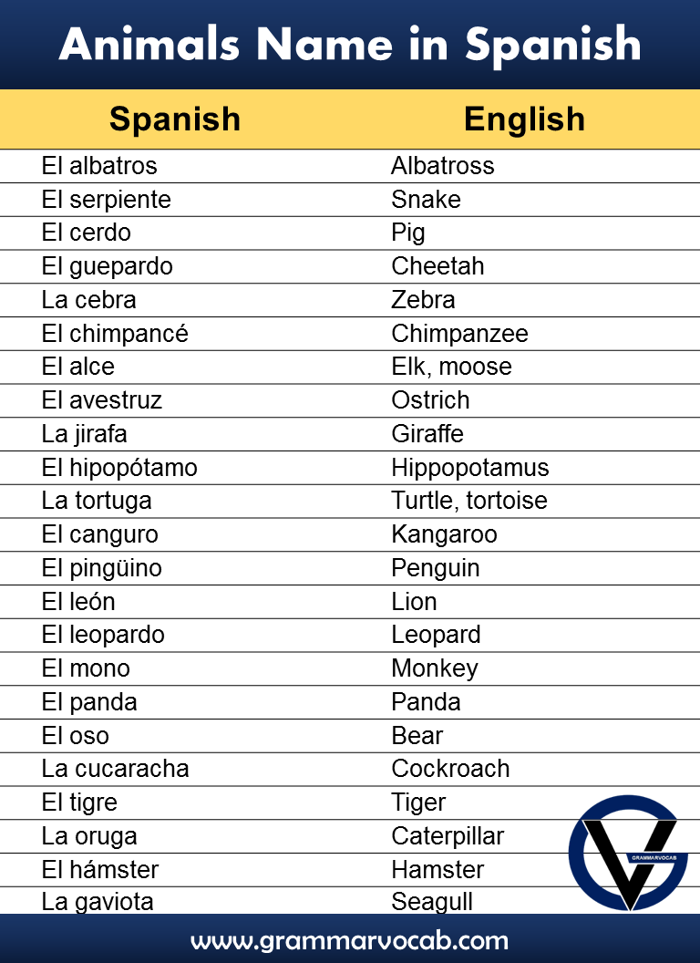 Names of Animals in Spanish - GrammarVocab