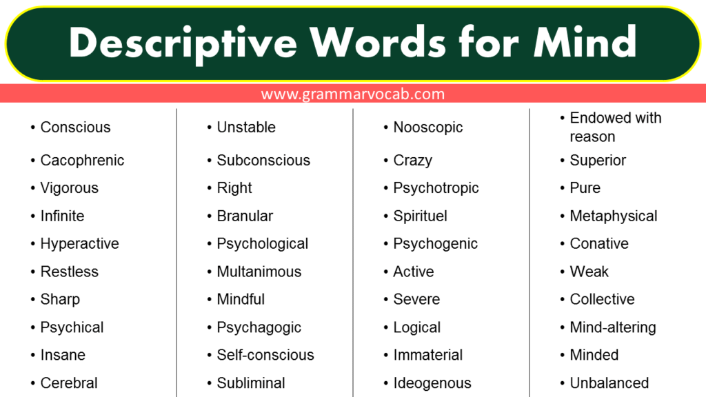 List Of Descriptive Words For Mind GrammarVocab