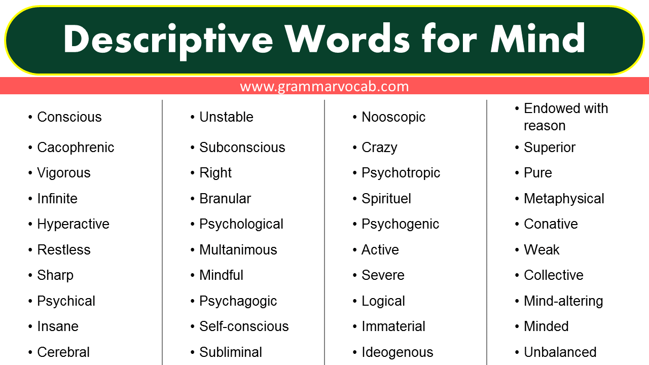 list-of-descriptive-words-for-mind-grammarvocab