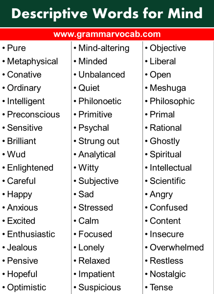 List of Descriptive Words for Mind - GrammarVocab