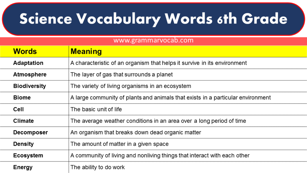 Science Vocabulary Words 6th Grade GrammarVocab