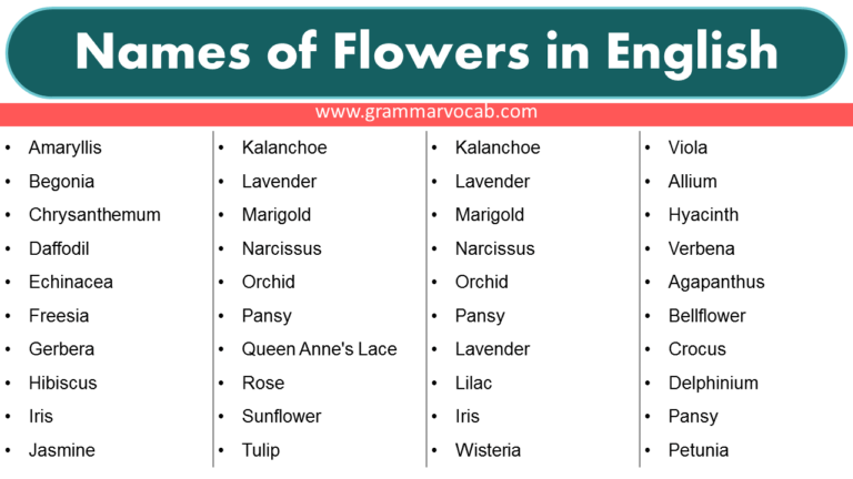 Names of Flowers in English - GrammarVocab