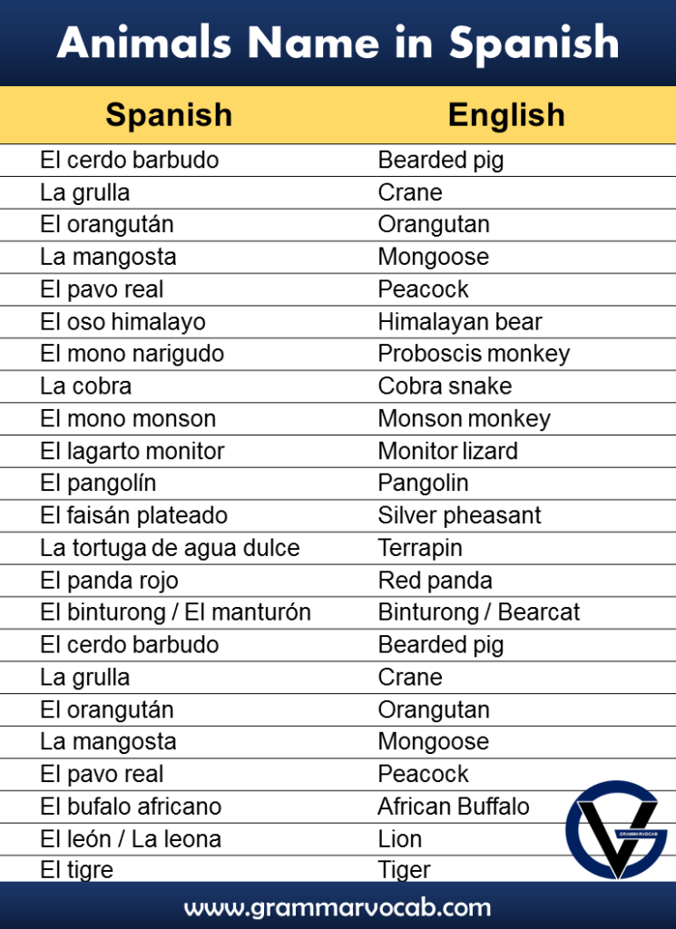 Names of Animals in Spanish - GrammarVocab