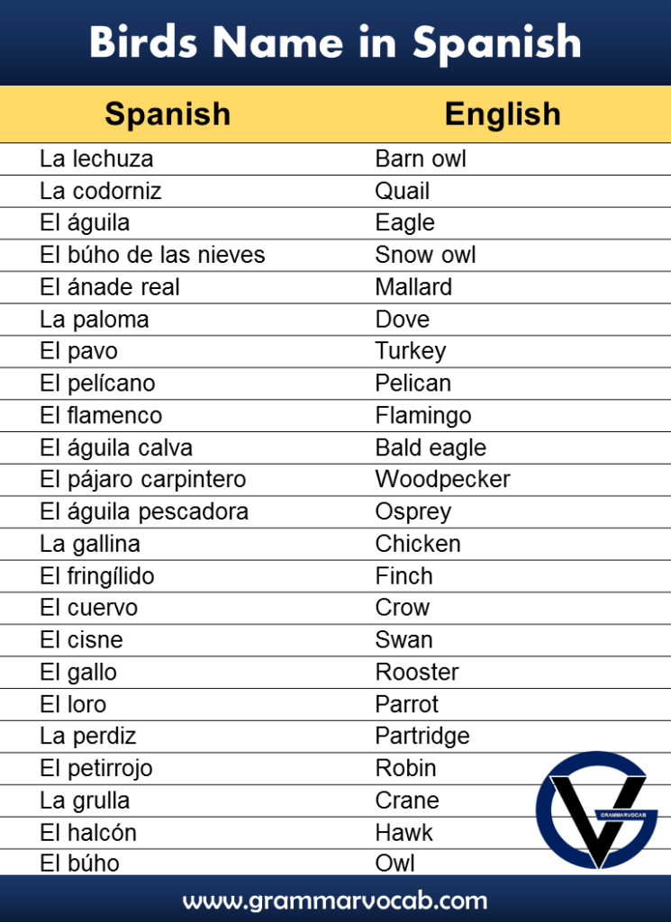 Names of Animals in Spanish - GrammarVocab