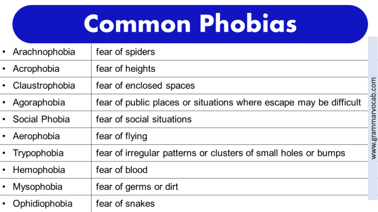 List Of Phobias Funny Phobias Rarest Phobias Weird Phobias Pdf