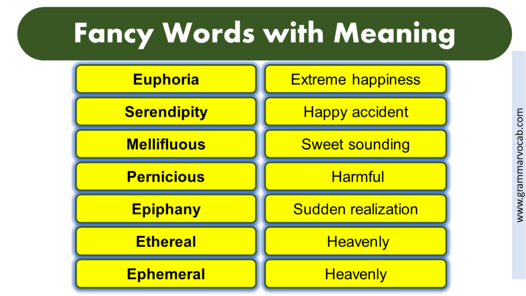 Fancy Words with Meaning GrammarVocab