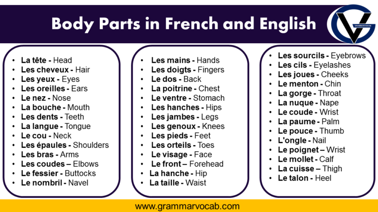 body-parts-in-french-pdf-grammarvocab