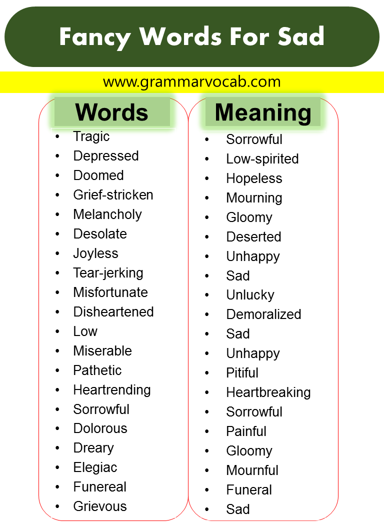Fancy Words With Meaning GrammarVocab