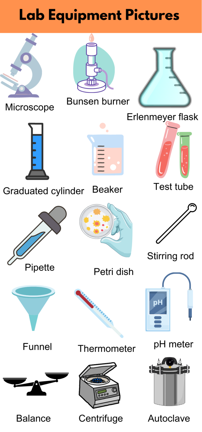 List of Lab Equipment Names and Pictures PDF GrammarVocab