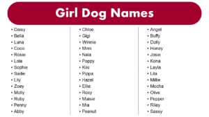 List Of Most Popular Girl Dog Names - GrammarVocab