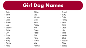 List Of Most Popular Girl Dog Names GrammarVocab