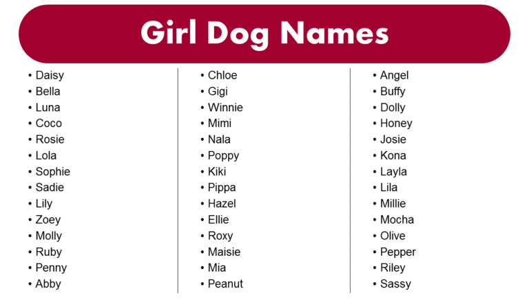 list-of-most-popular-girl-dog-names-grammarvocab