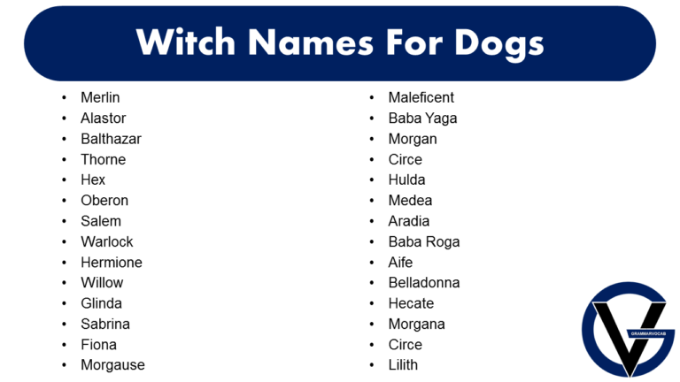 Witch Names For Dogs Male Female GrammarVocab