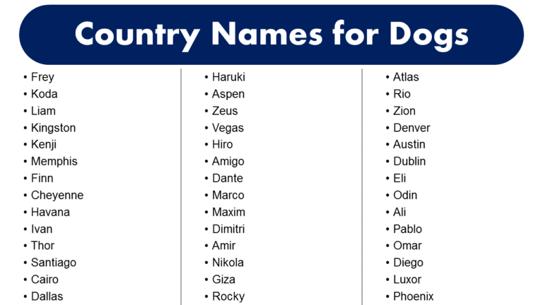 best-country-names-for-dogs-name-ideas-for-your-pet-grammarvocab