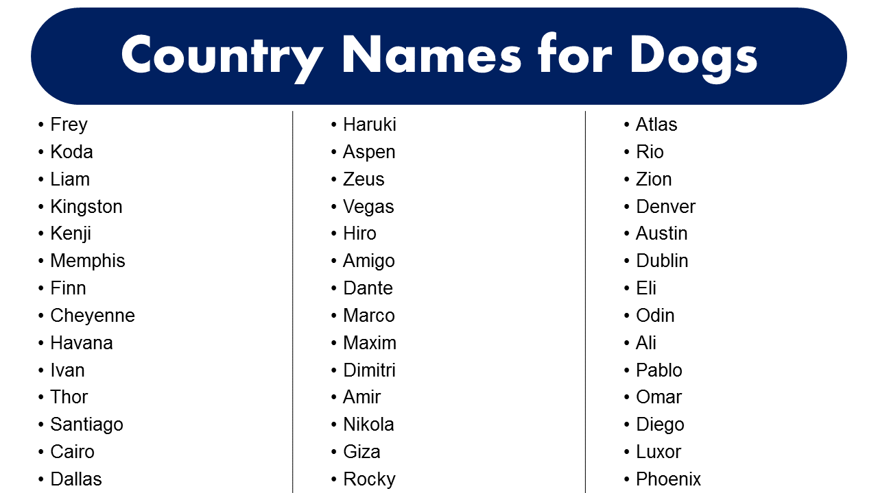 best-country-names-for-dogs-name-ideas-for-your-pet-grammarvocab
