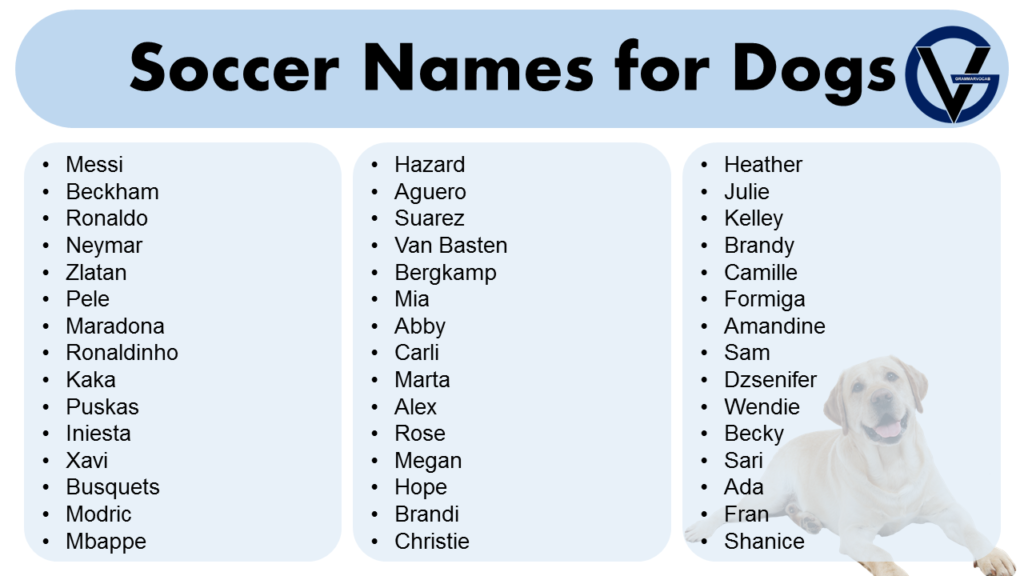 Soccer Names for Dogs