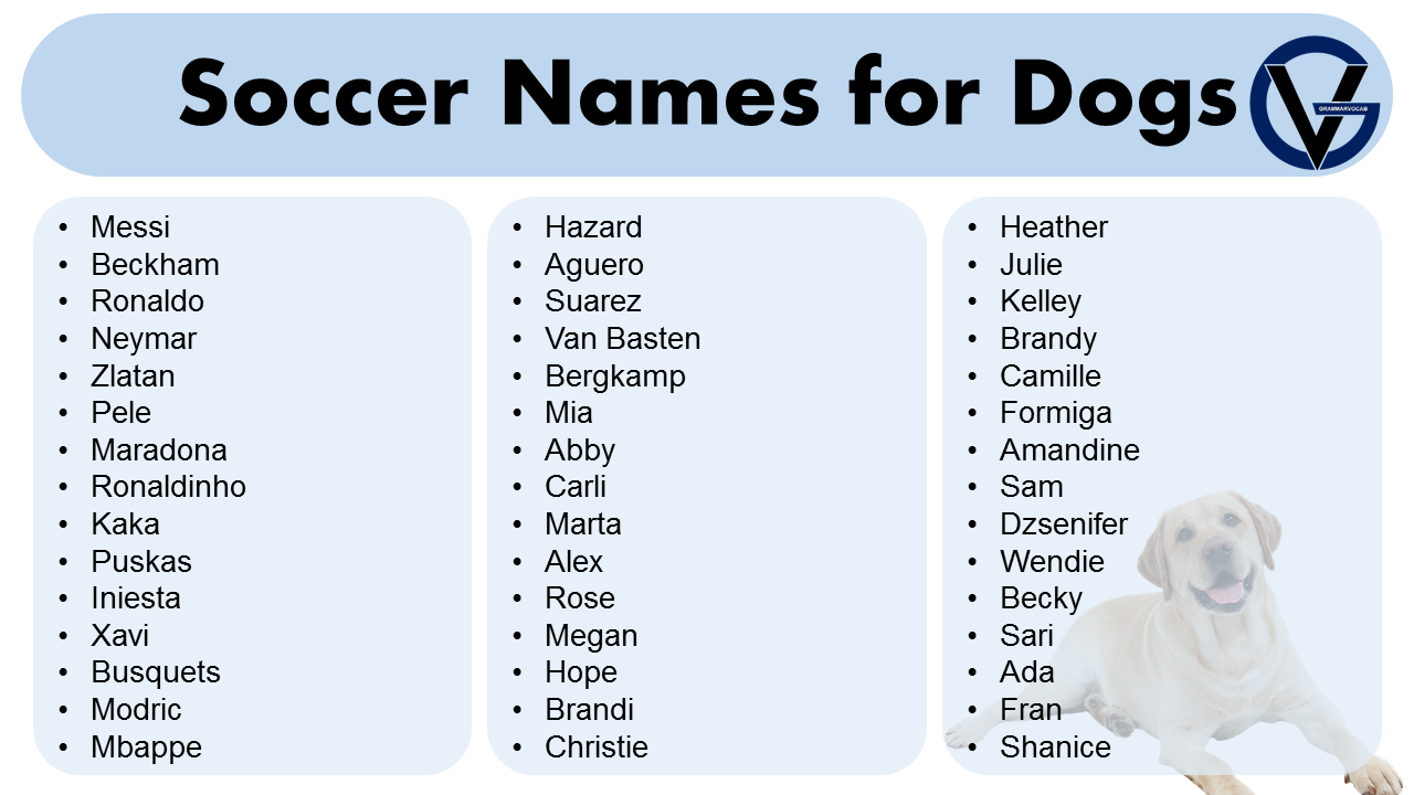Soccer Names For Dogs Soccer Dog Names GrammarVocab