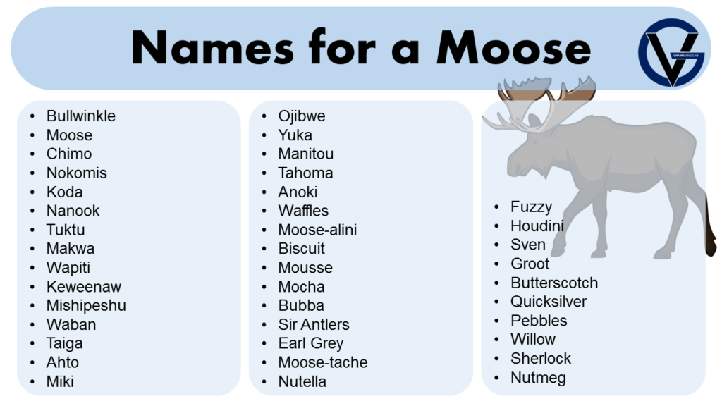 Names for a Moose