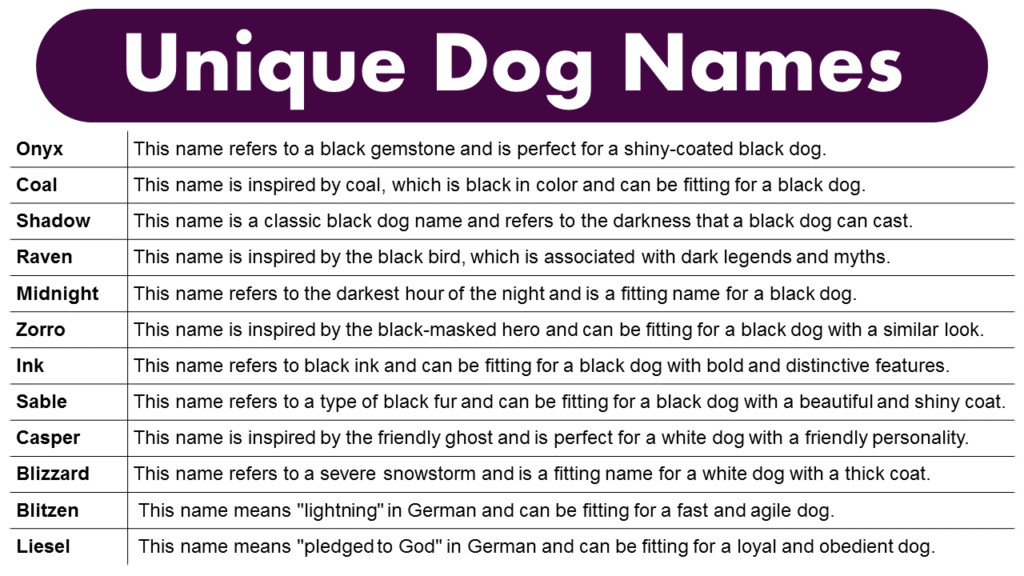 Unique Dog Names