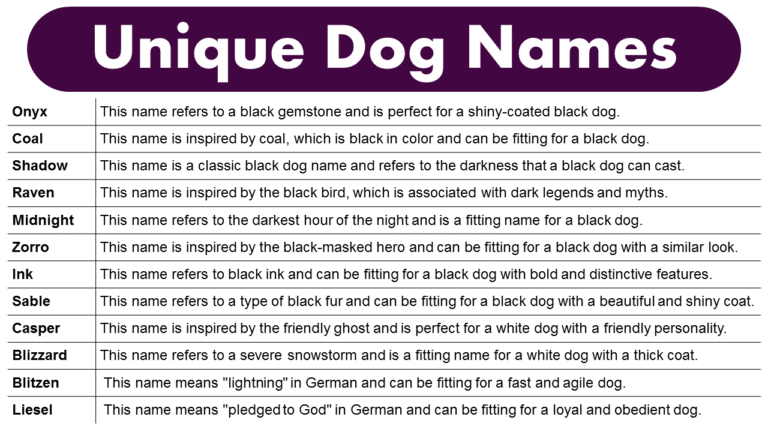 unique-dog-names-male-female-grammarvocab