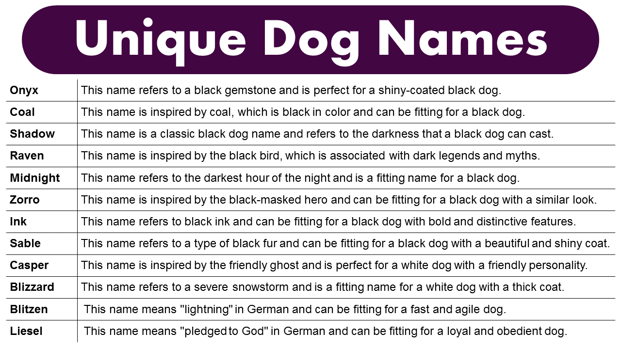 Unique Dog Names Male & Female GrammarVocab