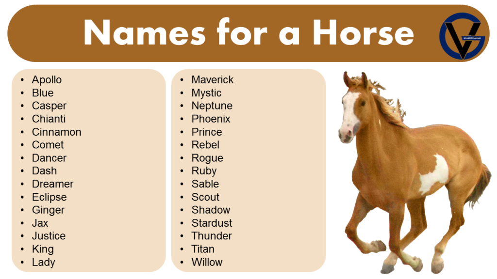 List of Names for a Horse Naming Ideas GrammarVocab