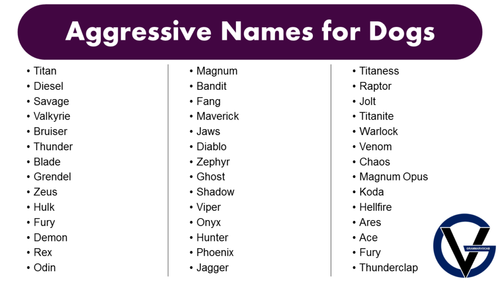 Strong And Powerful Names For Aggressive Dogs GrammarVocab