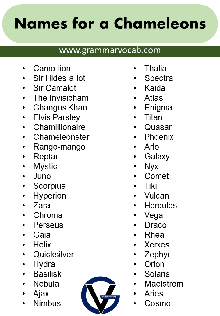 good-names-for-pet-chameleons-grammarvocab