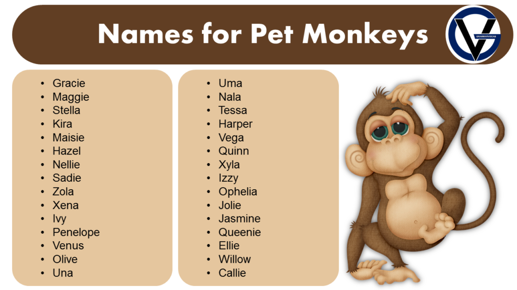 Names for Pet Monkeys