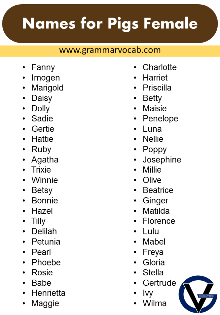 cute-names-for-pet-pigs-name-ideas-that-will-suit-your-pet-grammarvocab